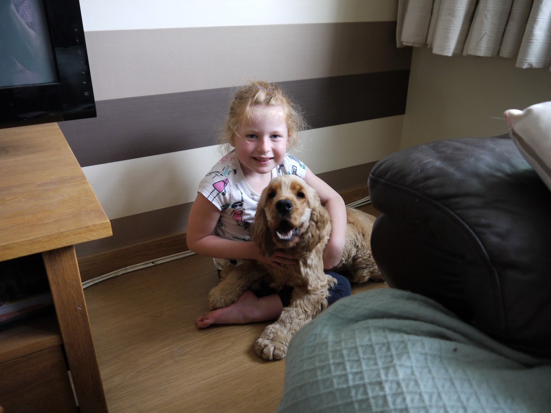 Oscar & Amy front room