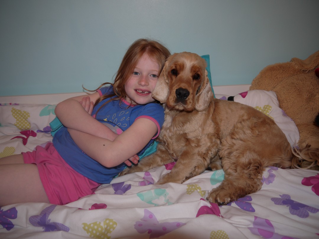 Oscar & Amy bed